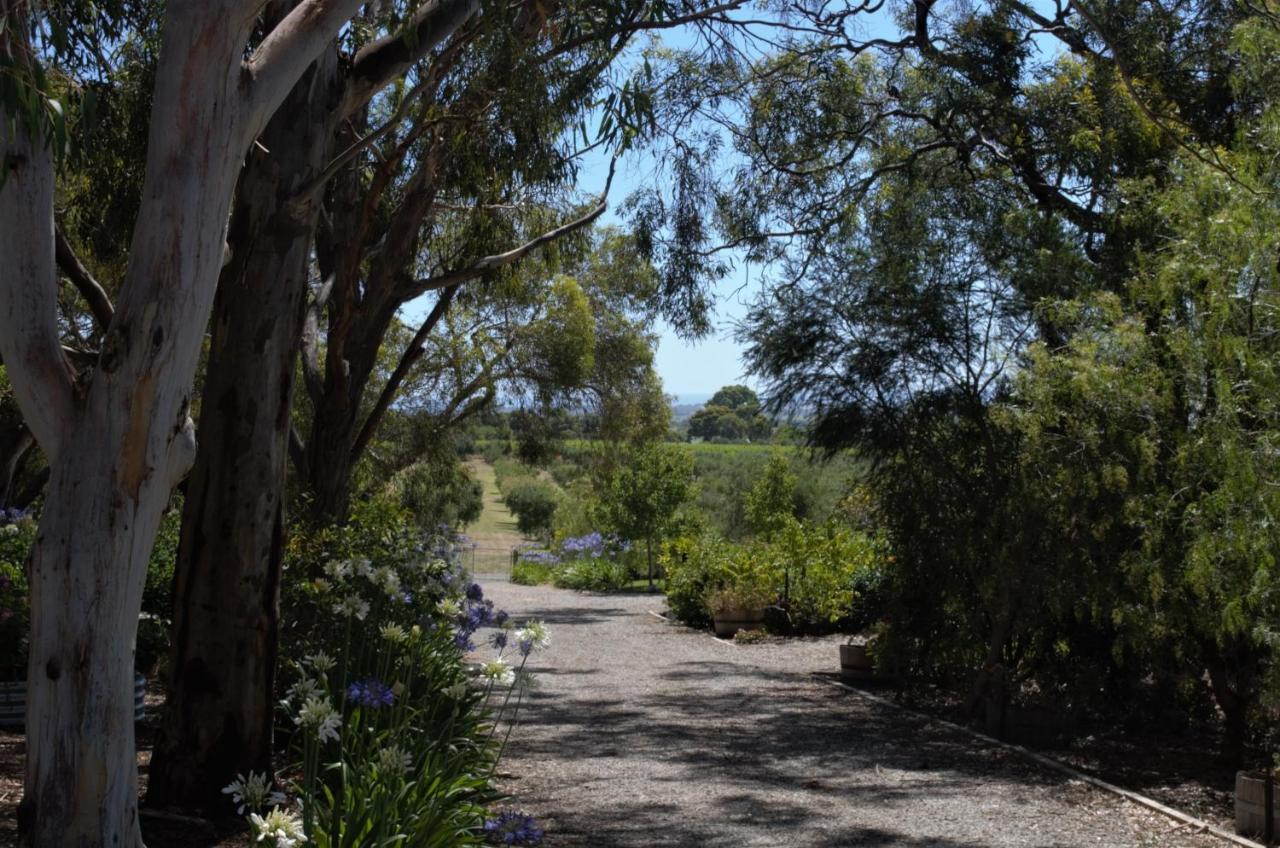 The Farm Willunga Bed & Breakfast Exterior foto