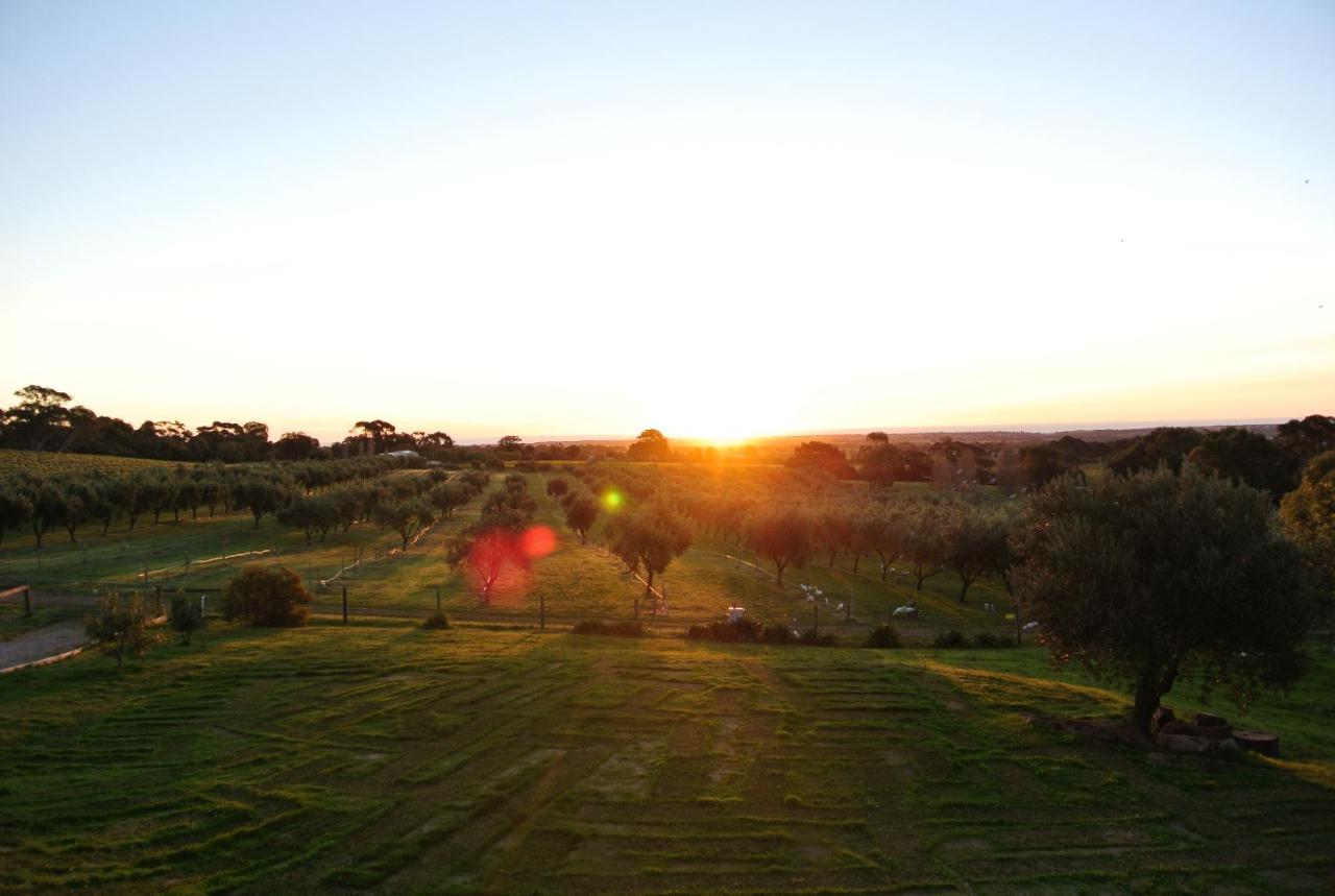 The Farm Willunga Bed & Breakfast Cameră foto