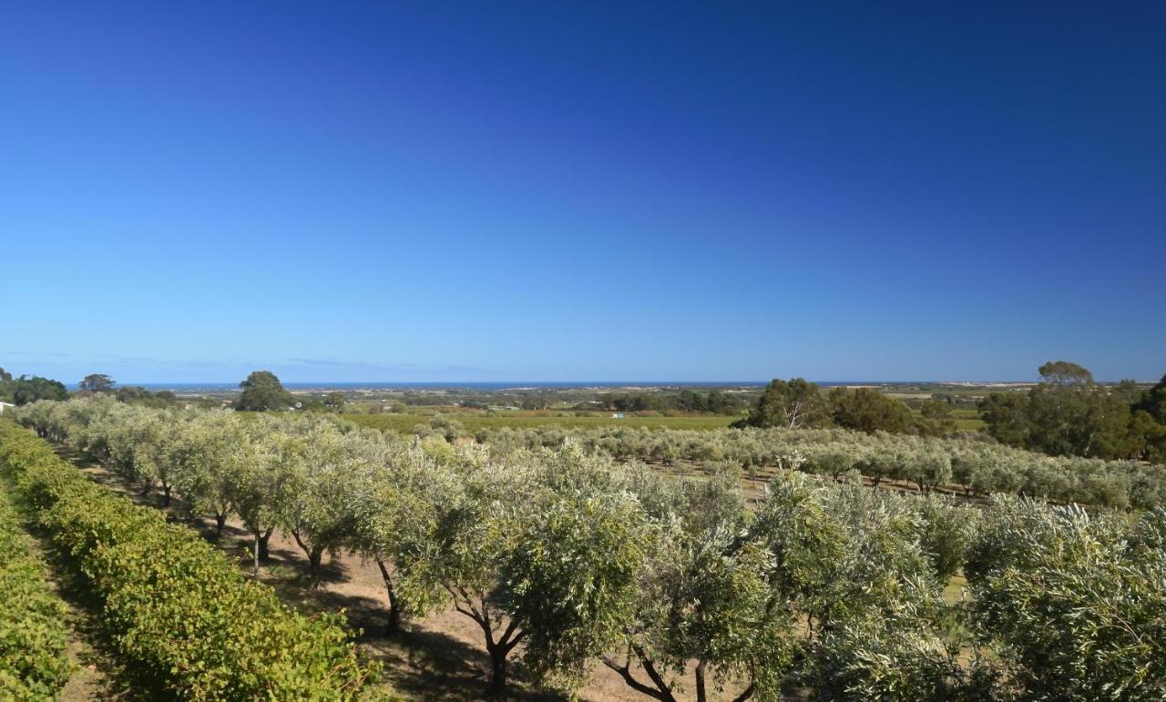 The Farm Willunga Bed & Breakfast Exterior foto