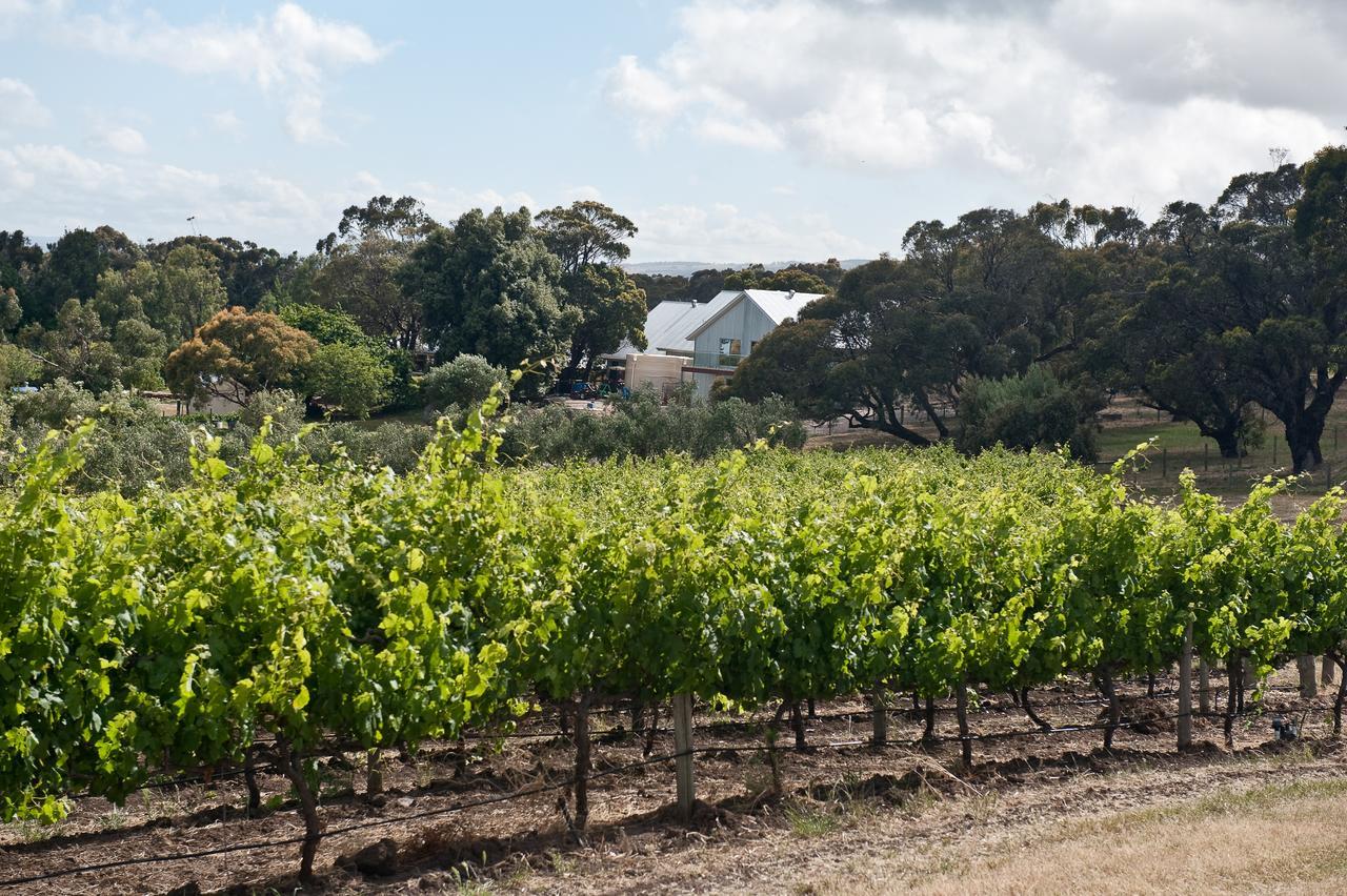 The Farm Willunga Bed & Breakfast Exterior foto