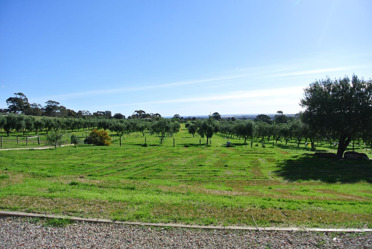 The Farm Willunga Bed & Breakfast Exterior foto